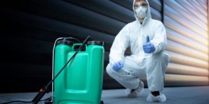 dedetização em Recife